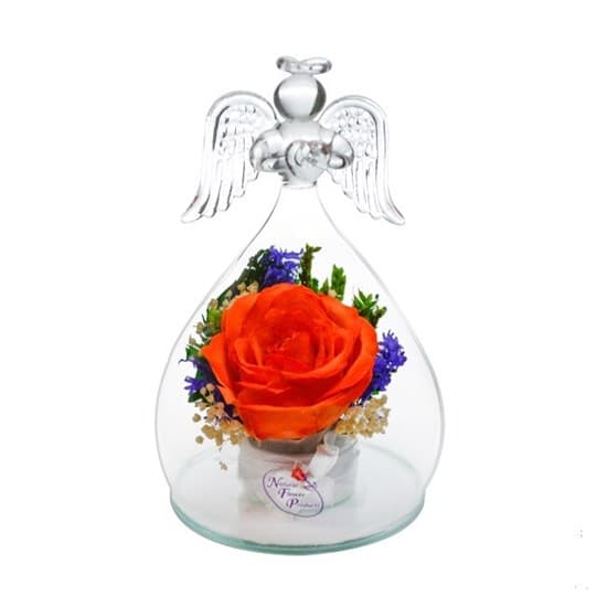 Цветы в стекле "Ангел" композиция из оранжевой розы (арт. OaSRo)