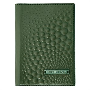 {{photo.Alt || photo.Description || 'Обложка для автодокументов «Bubblies Documents». Цвет зелёный'}}