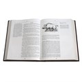Книга "Русская охота" Л.П. Сабанеев ЭБ487(з) - фото 330054
