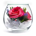 Стабилизированные цветы в стекле "Магия" | композиция из розовых роз  в вакууме | подарочная упаковка BmiRp