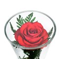 Стабилизированные цветы в бокале "Пересвет" | Композиция из разноцветных роз в вакууме (бутон)