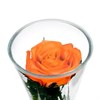 Цветы в стекле "Звезда" из оранжевой розы (арт. CuHRo) фото сверху